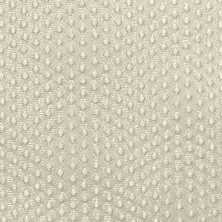 Fianna C Pearl by Europatex Fabric Fianna 100% Polyester 3.14" H, 1.65" V 55.00 inches - Fabric Carolina -