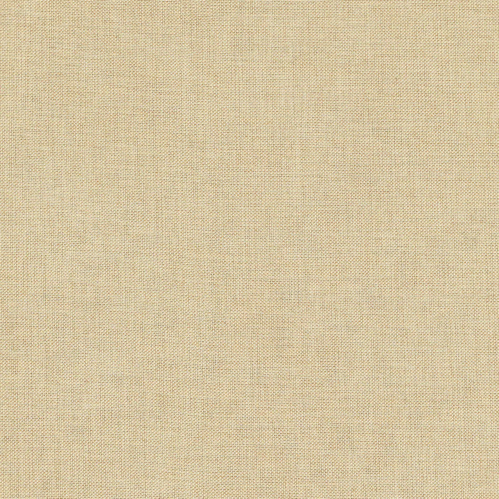 Fiesta Pebble by Europatex Fabric Fiesta 100% Polyester China Horizontal: N/A and Vertical: N/A 118" - Fabric Carolina -