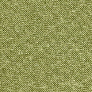 Flannel Sprout by Crypton Fabric