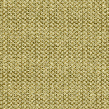 Fleece Celery by Crypton Fabric See sample 100% Polyester 100000 Horizontal: Not Applicable and Vertical: Not Applicable 54" - Fabric Carolina -