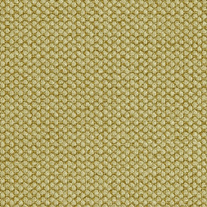 Fleece Celery by Crypton Fabric