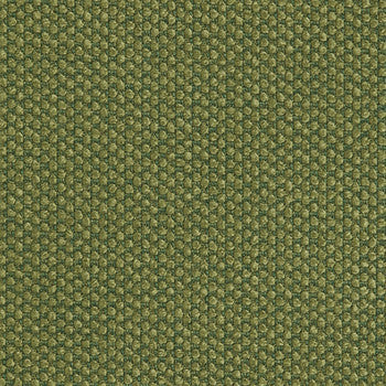 Fleece Emerald by Crypton Fabric See sample 100% Polyester 100000 Horizontal: Not Applicable and Vertical: Not Applicable 54" - Fabric Carolina -