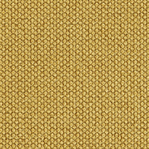 Fleece Gold by Crypton Fabric