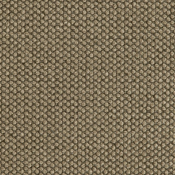 Fleece Smoke by Crypton Fabric See sample 100% Polyester 100000 Horizontal: Not Applicable and Vertical: Not Applicable 54" - Fabric Carolina -
