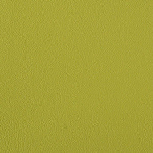 Foundation Spring by Nassimi Fabric