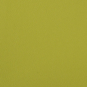 Foundation Spring by Nassimi Fabric