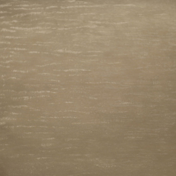 Freedom Sand by Europatex Fabric Freedom, Vinyl Library 80& PVC, 20& Polyurethane 0.00" 55.00 inches - Fabric Carolina -
