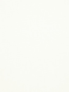 Groundcover # 006 Cream by Maxwell Fabric
