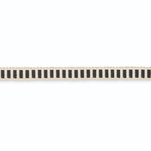 Claudine Cotton Gimp Snow/Obsidian G500-4 by Schumacher Trim