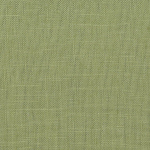 Galahad 17 Pistachio by Stout Fabric