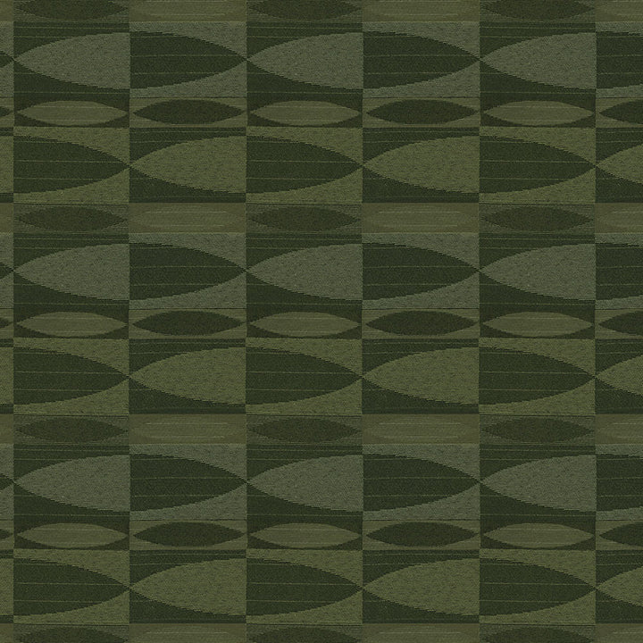 Galanthus 2009 Forest by Crypton Fabric 60% Recycled Polyester
25% Cotton
16% Polyester US 50,000 Double Rubs (Wyzenbeek) </p><p>Repeat: Horizontal: 6.6 in. (16.5 cm) up the roll and Vertical: 7.5 in. (18.8 cm) across the roll 54 in. (137 cm) - Fabric Carolina -