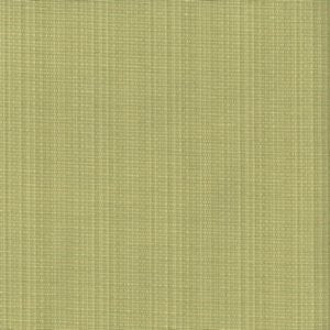 Gallo Sprout 7007 by Norbar Fabric 51% POLYESTER 49% COTTON INDIA 3/8"V 54 - Fabric Carolina -