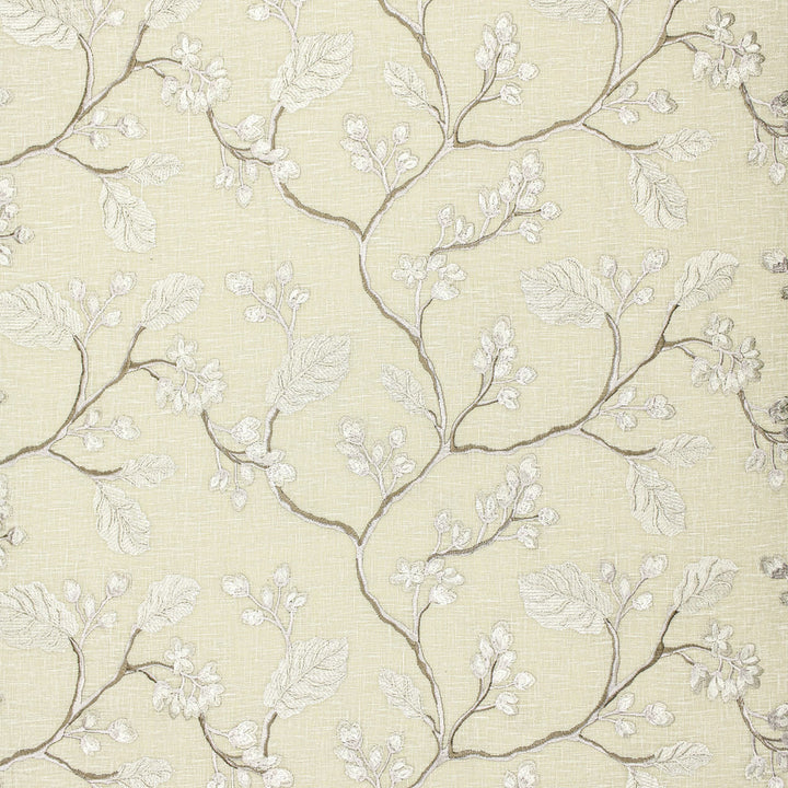 Gammon 2 Taupe by Stout Fabric Stout Fabric Gammon 2 TaupeFabric COLOR MY WINDOW PEARL/DRIFTWOOD INDIA </p><p>Repeat: H: 16.500, V: 9.250 51.5 in - Fabric Carolina -