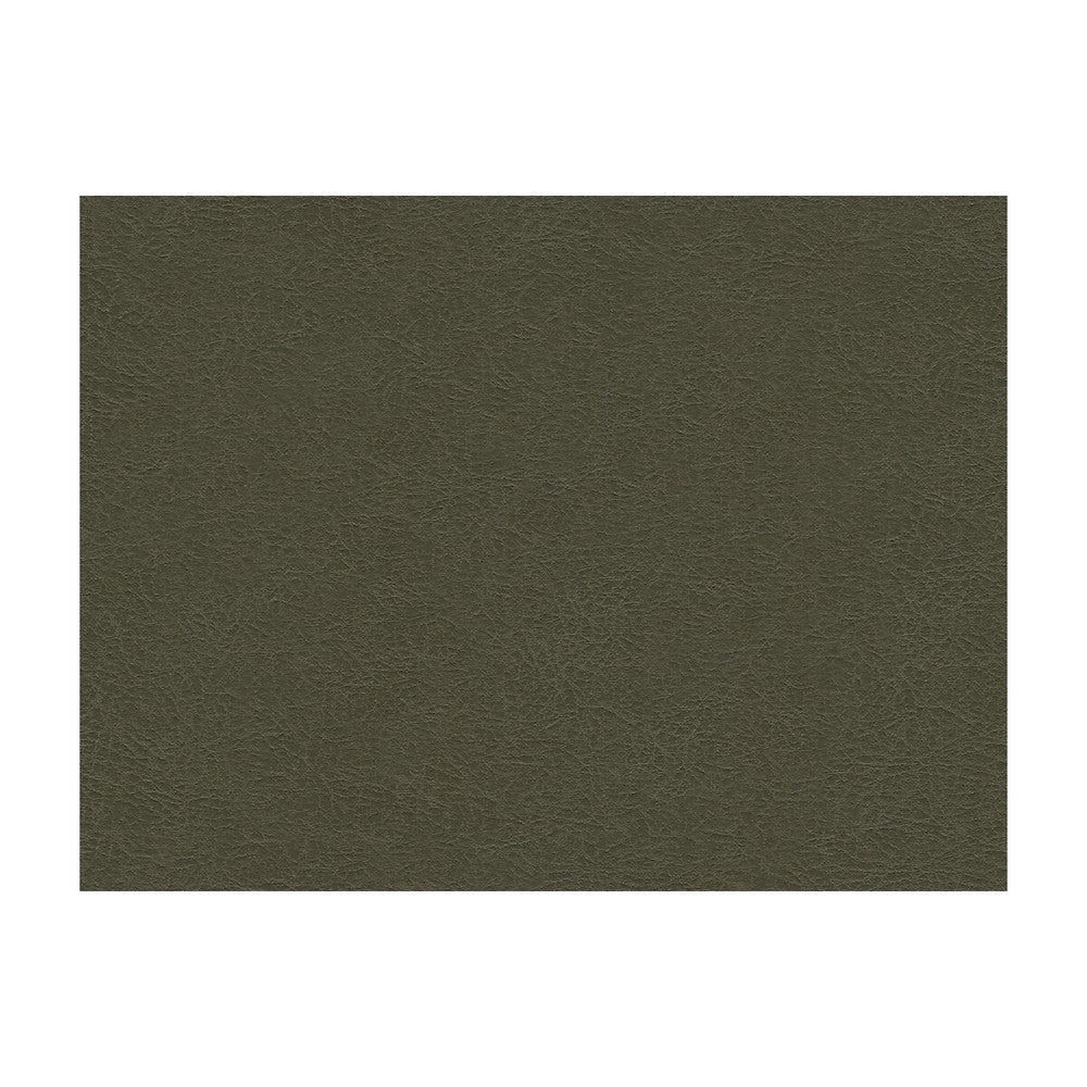 Garoua-21 by Kravet Design Fabric ULTRALEATHER PLUS IV POLYURETHANE - 100% Japan HEAVY Horizontal: and Vertical: 54 - Fabric Carolina -
