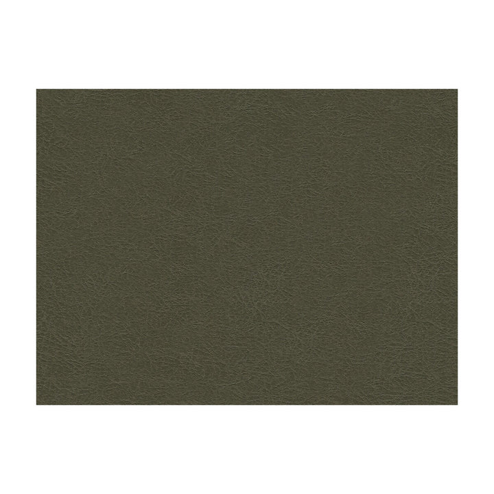 Garoua-21 by Kravet Design Fabric ULTRALEATHER PLUS IV POLYURETHANE - 100% Japan HEAVY Horizontal: and Vertical: 54 - Fabric Carolina -
