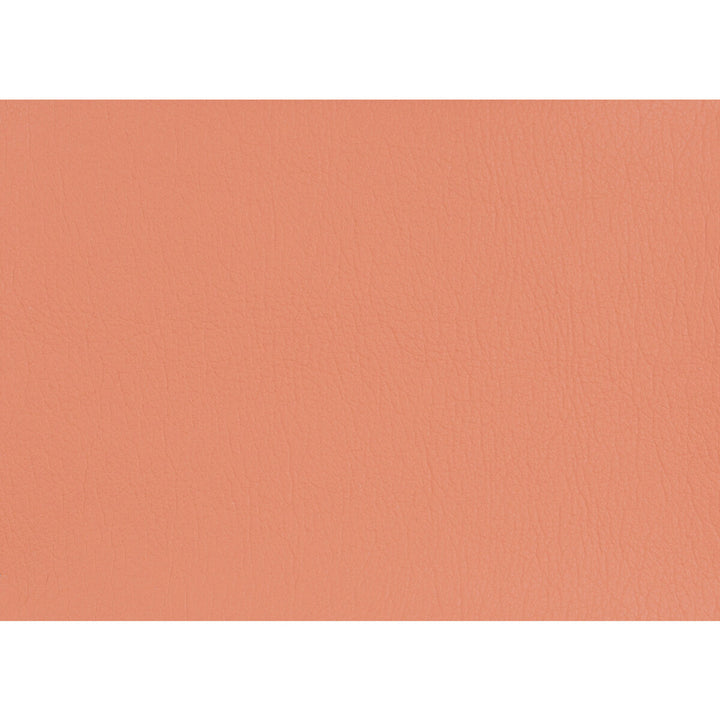 Gato-112 by Kravet Design Fabric POLYURETHANE - 100% Japan HEAVY Horizontal: 0 and Vertical: 0 54 - Fabric Carolina -