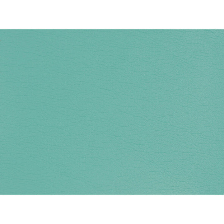 Gato-13 by Kravet Design Fabric POLYURETHANE - 100% Japan HEAVY Horizontal: 0 and Vertical: 0 54 - Fabric Carolina -
