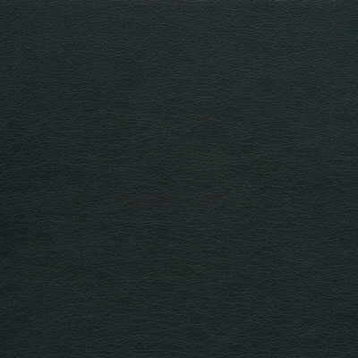 Gato-21 by Kravet Design Fabric ULTRALEATHER PLUS IV POLYURETHANE - 100% Japan HEAVY Horizontal: 0 and Vertical: 0 54 - Fabric Carolina -