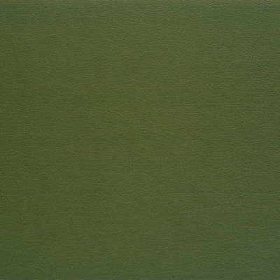 Gato-35 by Kravet Design Fabric ULTRALEATHER PLUS IV POLYURETHANE - 100% Japan HEAVY Horizontal: 0 and Vertical: 0 54 - Fabric Carolina -