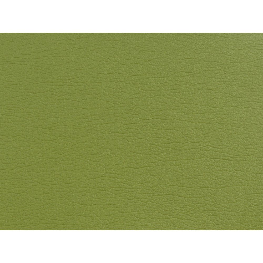 Gato-5353 by Kravet Design Fabric POLYURETHANE - 100% Japan HEAVY Horizontal: 0 and Vertical: 0 54 - Fabric Carolina -