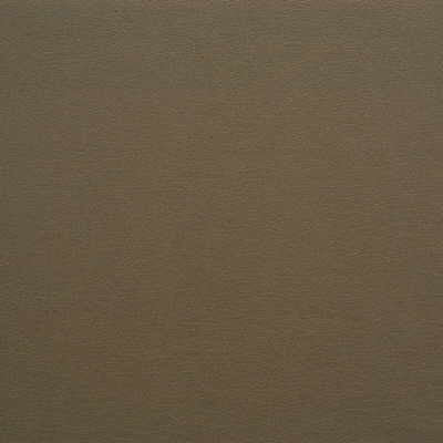 Gato-621 by Kravet Design Fabric ULTRALEATHER PLUS IV POLYURETHANE - 100% Japan HEAVY Horizontal: 0 and Vertical: 0 54 - Fabric Carolina -