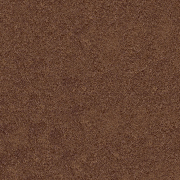 Madison 888 Desert Sand by ABBEYSHEA Fabric 100% Polyvinyl Chloride (PVC) China 500,000 Double Rubs (Wyzenbeek) </p><p>Repeat: Horizontal: and Vertical: 54" (137 cm) - Fabric Carolina -