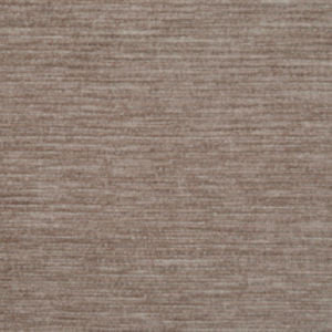 Gazette Dune 259 by Norbar Fabric GAZETTE 100 PLYESTER INDIA 1/8"V 54 - Fabric Carolina -