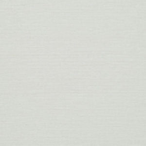 Gazette Pearl 008 by Norbar Fabric GAZETTE 100 PLYESTER INDIA 1/8"V 54 - Fabric Carolina -