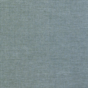 Gorge # 102 Cloud by Maxwell Fabric