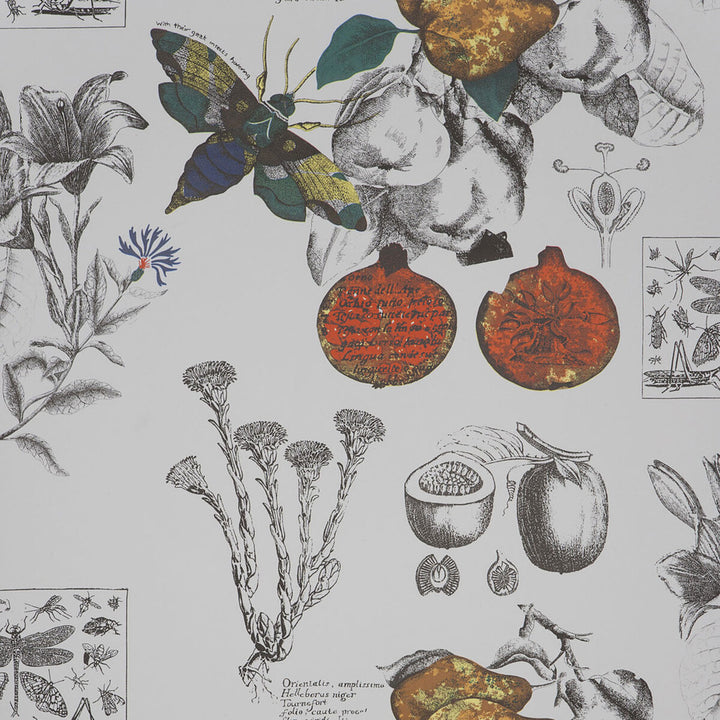 Linneo Original by Gaston Y Daniela Wallcovering Gaston Y Daniela Wallcovering Linneo OriginalWallcovering PAPER - 100% Spain </p><p>Repeat: H: , V: 20.8 20.8 - Fabric Carolina -