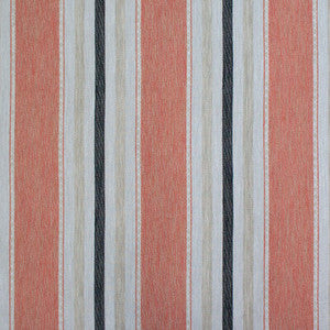 Albuquerque Coral by Gaston Y Daniela Fabric