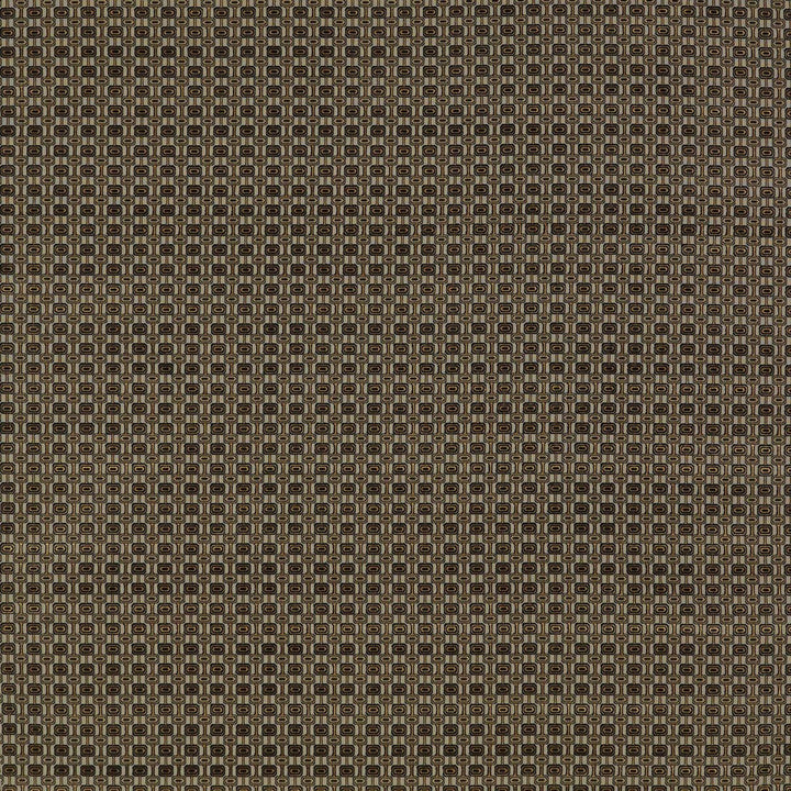 Ines Tostado/Antr by Gaston Y Daniela Designer Fabric LORENZO CASTILLO II VISCOSE - 59%;POLYESTER - 23%;COTTON - 18% Belgium MEDIUM Horizontal: 1.69 and Vertical: 1.3 55 - Swanky Fabrics -