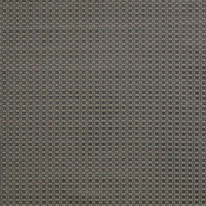 Ines Gris/Onyx by Gaston Y Daniela Fabric LORENZO CASTILLO II VISCOSE - 59%;POLYESTER - 23%;COTTON - 18% Belgium MEDIUM Horizontal: 1.69 and Vertical: 1.3 55 - Fabric Carolina -