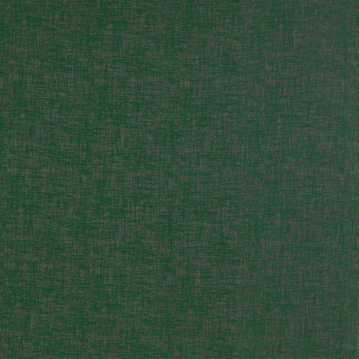 Teresa Verde by Gaston Y Daniela Fabric LORENZO CASTILLO II RAYON - 38%;VISCOSE - 30%;COTTON - 15%;POLYESTER - 10%;LINEN - 7% Turkey HEAVY Horizontal: 12.99 and Vertical: 14.17 55 - Fabric Carolina -
