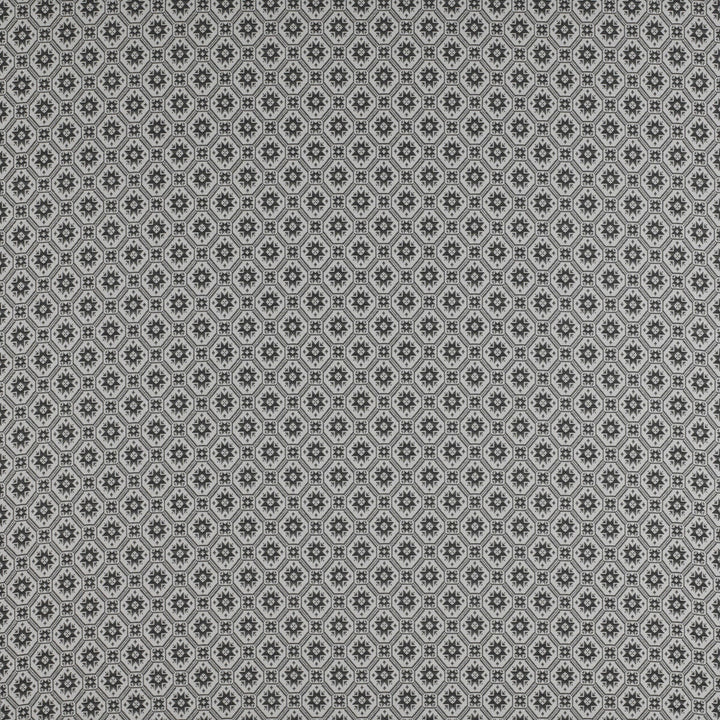 Delicias Onyx by Gaston Y Daniela Fabric MADRID VISCOSE - 58%;POLYESTER - 27%;COTTON - 15% Turkey MEDIUM Horizontal: 3.3 and Vertical: 3.6 55 - Fabric Carolina -