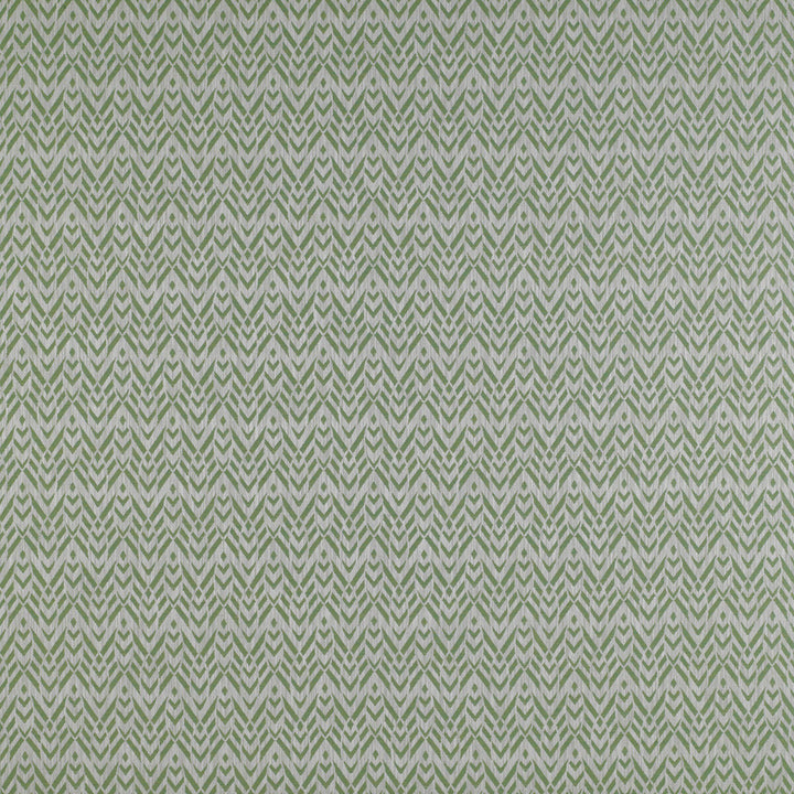 Cervantes Verde by Gaston Y Daniela Fabric MADRID VISCOSE - 46%;POLYESTER - 31%;COTTON - 18%;LINEN - 5% Turkey HEAVY Horizontal: 3.4 and Vertical: 4.5 55 - Fabric Carolina -