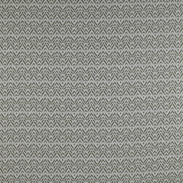 Cervantes Musgo by Gaston Y Daniela Fabric Gaston Y Daniela Fabric Cervantes MusgoFabric MADRID VISCOSE - 46%;POLYESTER - 31%;COTTON - 18%;LINEN - 5% Turkey </p><p>Repeat: H: 3.4, V: 4.5 55 - Fabric Carolina -