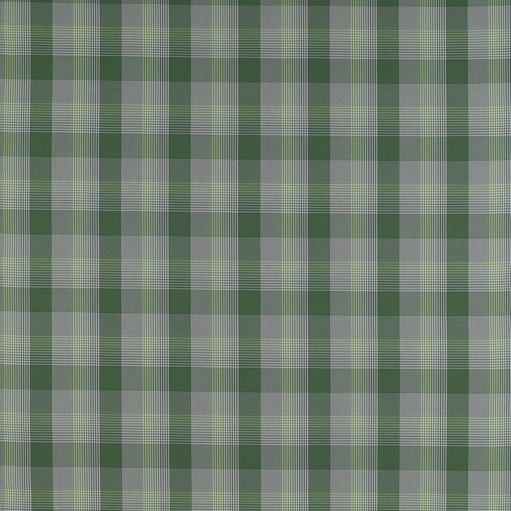Preciados Verde by Gaston Y Daniela Fabric Gaston Y Daniela Fabric Preciados VerdeFabric MADRID COTTON - 100% Portugal </p><p>Repeat: H: 4, V: 4 55 - Fabric Carolina -