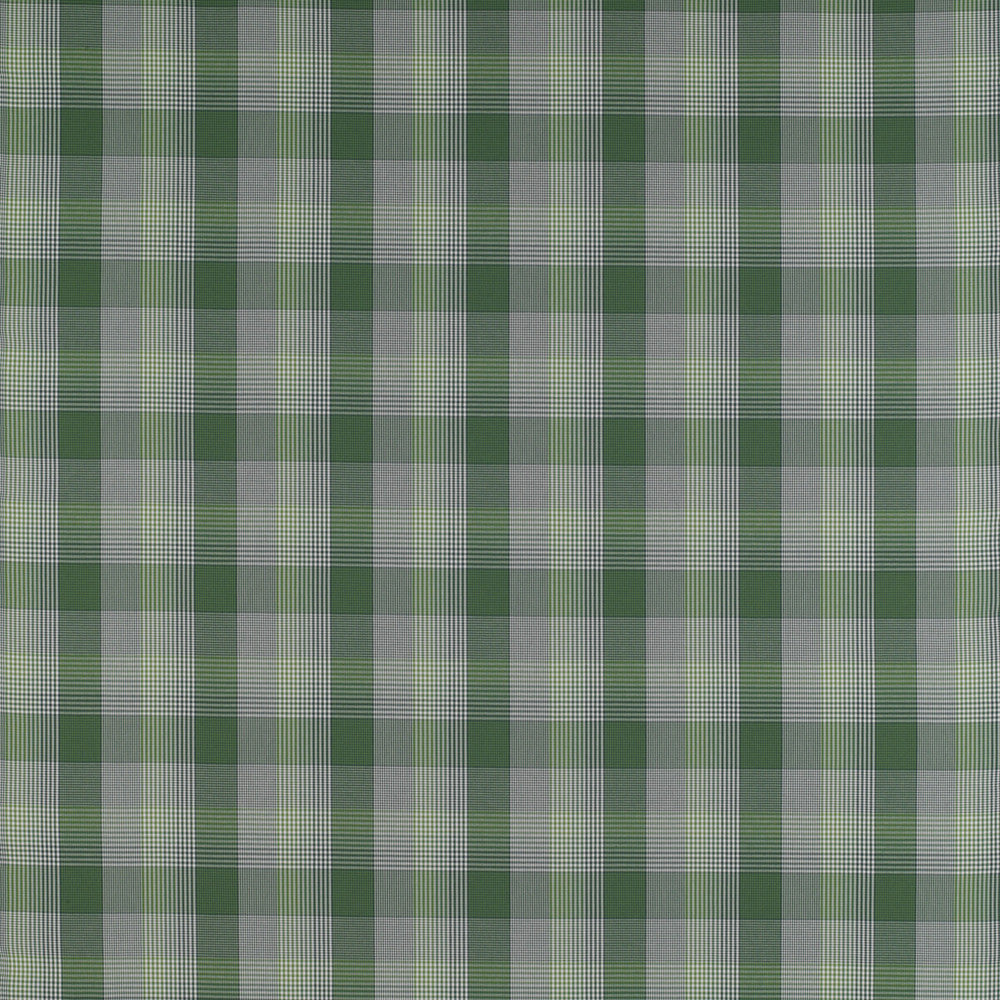 Preciados Verde by Gaston Y Daniela Fabric MADRID COTTON - 100% Portugal HEAVY Horizontal: 4 and Vertical: 4 55 - Fabric Carolina -