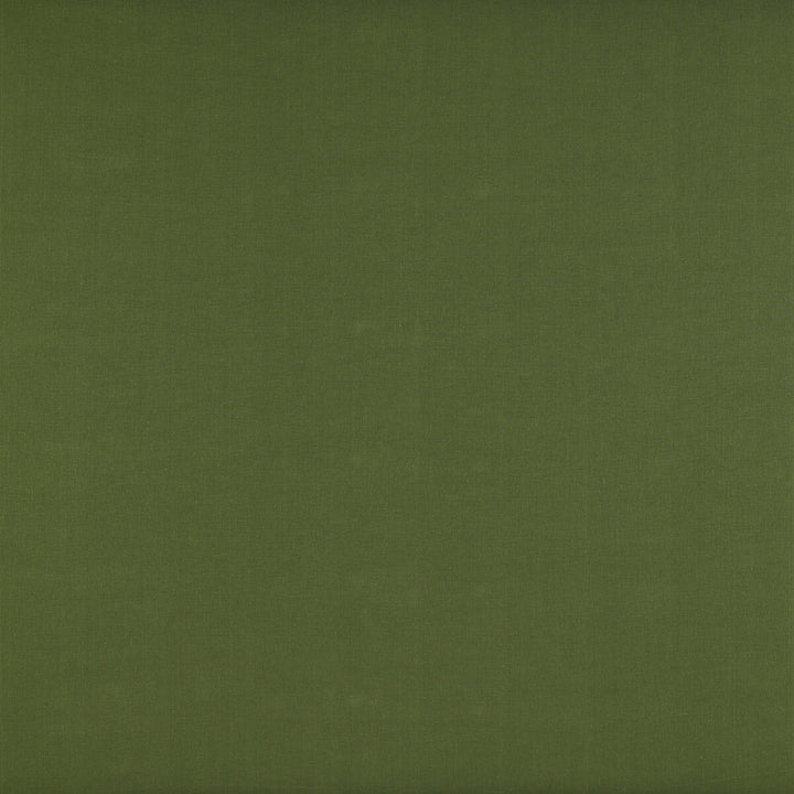 Recoletos Verde by Gaston Y Daniela Fabric MADRID LINEN - 68%;COTTON - 32% Turkey MEDIUM Horizontal: 0 and Vertical: 0 55 - Fabric Carolina -