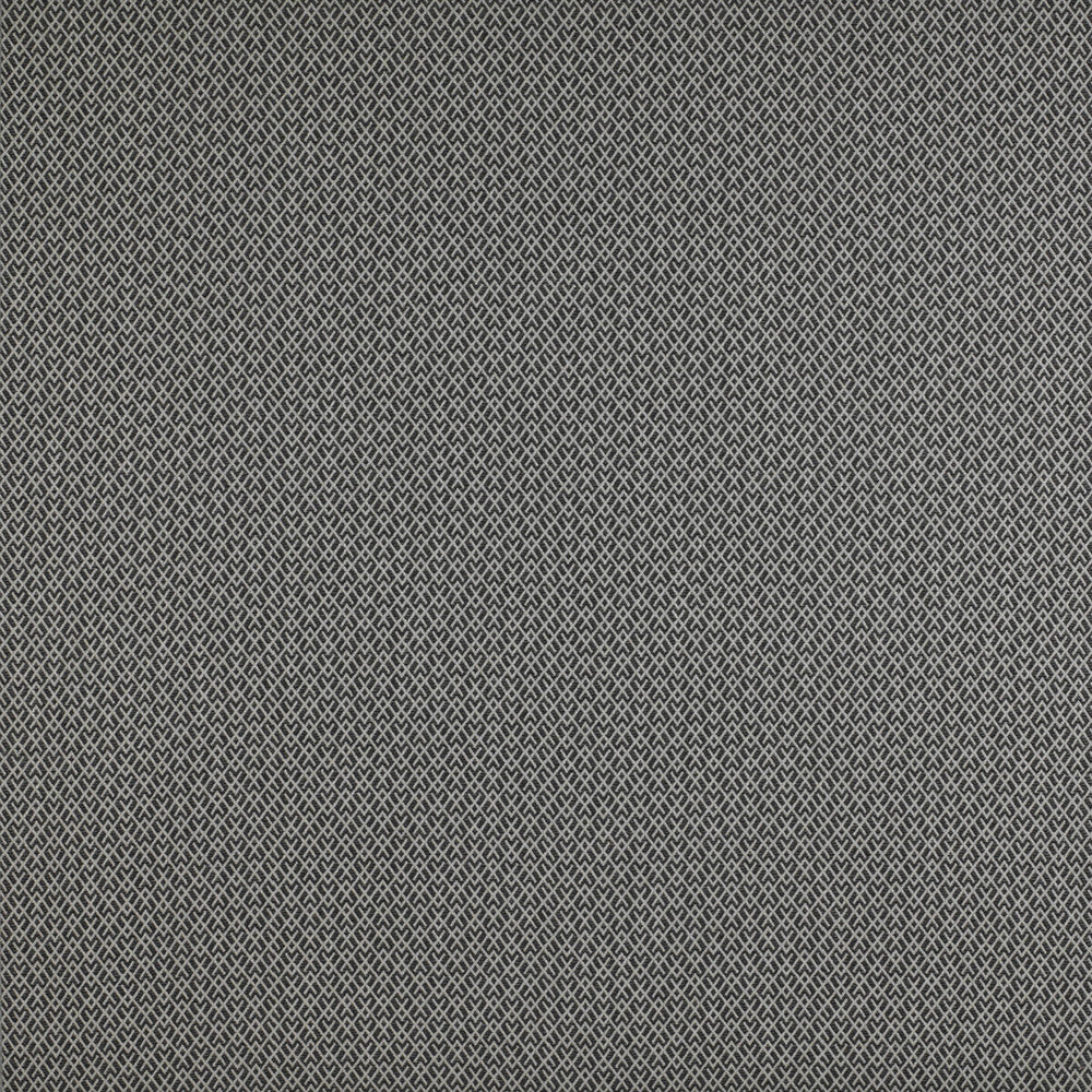 Chueca Onyx by Gaston Y Daniela Fabric Gaston Y Daniela Fabric Chueca OnyxFabric MADRID COTTON - 40%;VISCOSE - 30%;ACRYLIC - 10%;LINEN - 10%;POLYESTER - 10% Italy </p><p>Repeat: H: 2, V: 1.2 55 - Fabric Carolina -