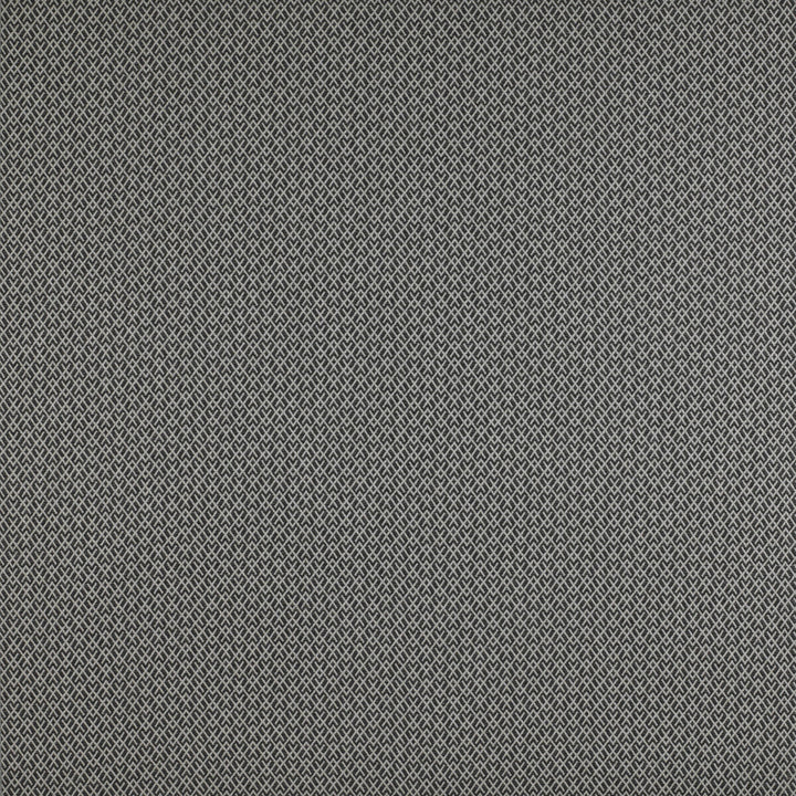 Chueca Onyx by Gaston Y Daniela Fabric MADRID COTTON - 40%;VISCOSE - 30%;ACRYLIC - 10%;LINEN - 10%;POLYESTER - 10% Italy HEAVY Horizontal: 2 and Vertical: 1.2 55 - Fabric Carolina -