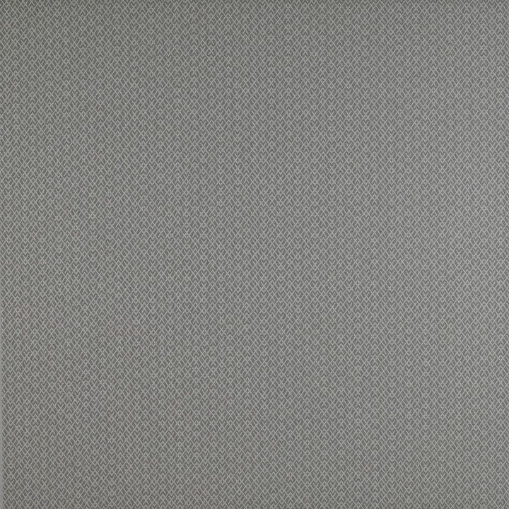 Chueca Gris by Gaston Y Daniela Fabric Gaston Y Daniela Fabric Chueca GrisFabric MADRID COTTON - 40%;VISCOSE - 30%;ACRYLIC - 10%;LINEN - 10%;POLYESTER - 10% Italy </p><p>Repeat: H: 2, V: 1.2 55 - Fabric Carolina -