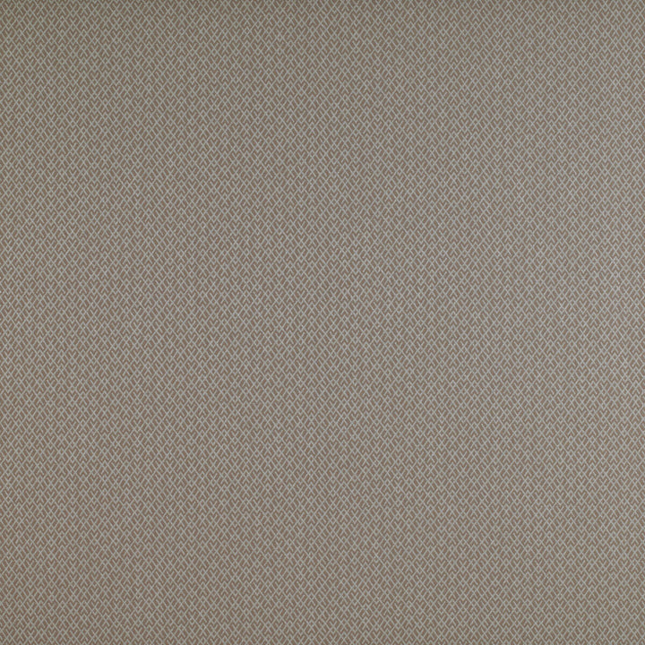 Chueca Beige by Gaston Y Daniela Fabric MADRID COTTON - 40%;VISCOSE - 30%;ACRYLIC - 10%;LINEN - 10%;POLYESTER - 10% Italy HEAVY Horizontal: 2 and Vertical: 1.2 55 - Fabric Carolina -