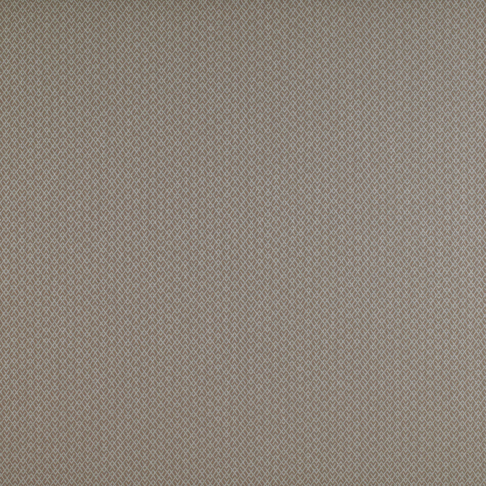 Chueca Beige by Gaston Y Daniela Designer Fabric MADRID COTTON - 40%;VISCOSE - 30%;ACRYLIC - 10%;LINEN - 10%;POLYESTER - 10% Italy HEAVY Horizontal: 2 and Vertical: 1.2 55 - Swanky Fabrics -