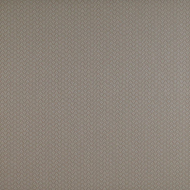 Chueca Beige by Gaston Y Daniela Designer Fabric MADRID COTTON - 40%;VISCOSE - 30%;ACRYLIC - 10%;LINEN - 10%;POLYESTER - 10% Italy HEAVY Horizontal: 2 and Vertical: 1.2 55 - Swanky Fabrics -
