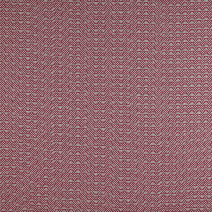 Chueca Frambuesa by Gaston Y Daniela Fabric MADRID COTTON - 40%;VISCOSE - 30%;ACRYLIC - 10%;LINEN - 10%;POLYESTER - 10% Italy HEAVY Horizontal: 2 and Vertical: 1.2 55 - Fabric Carolina -
