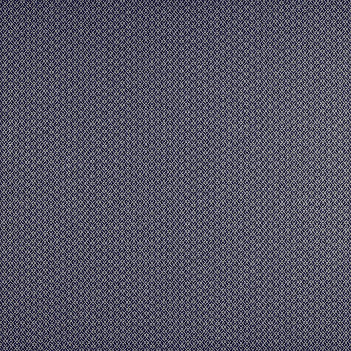 Chueca Azul/Marino by Gaston Y Daniela Fabric MADRID COTTON - 40%;VISCOSE - 30%;ACRYLIC - 10%;LINEN - 10%;POLYESTER - 10% Italy HEAVY Horizontal: 2 and Vertical: 1.2 55 - Fabric Carolina -