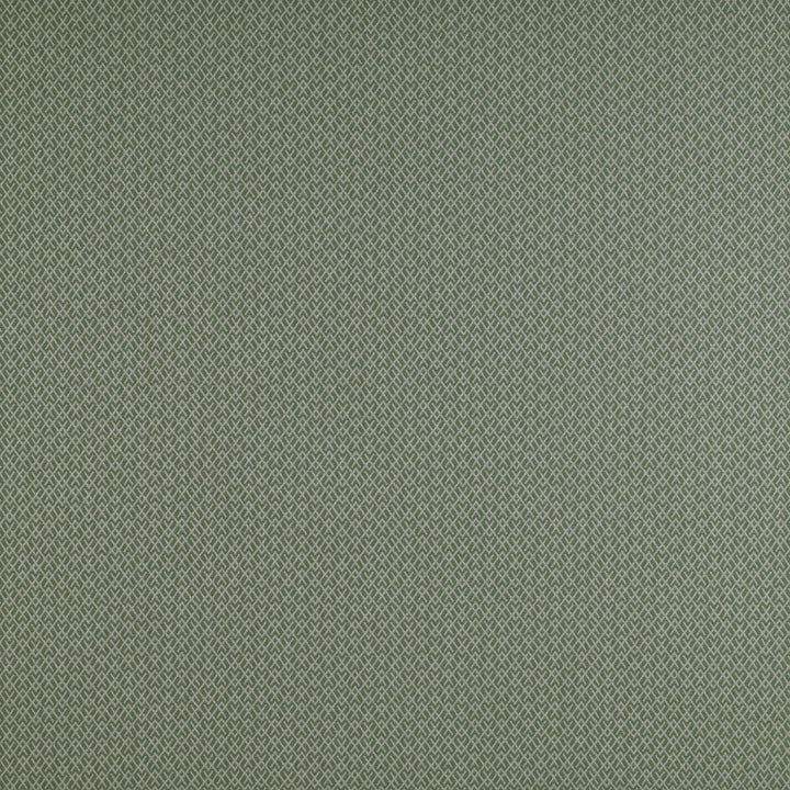 Chueca Verde by Gaston Y Daniela Fabric MADRID COTTON - 40%;VISCOSE - 30%;ACRYLIC - 10%;LINEN - 10%;POLYESTER - 10% Italy HEAVY Horizontal: 2 and Vertical: 1.2 55 - Fabric Carolina -