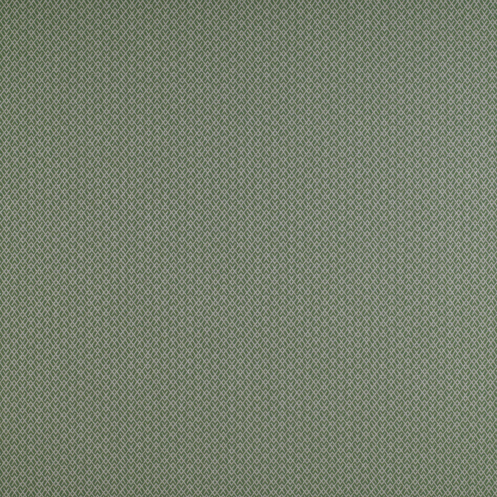 Chueca Verde by Gaston Y Daniela Fabric MADRID COTTON - 40%;VISCOSE - 30%;ACRYLIC - 10%;LINEN - 10%;POLYESTER - 10% Italy HEAVY Horizontal: 2 and Vertical: 1.2 55 - Fabric Carolina -
